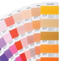 Pantone Formula Guide Set, Solid Coated & Solid Uncoated - GP1601B